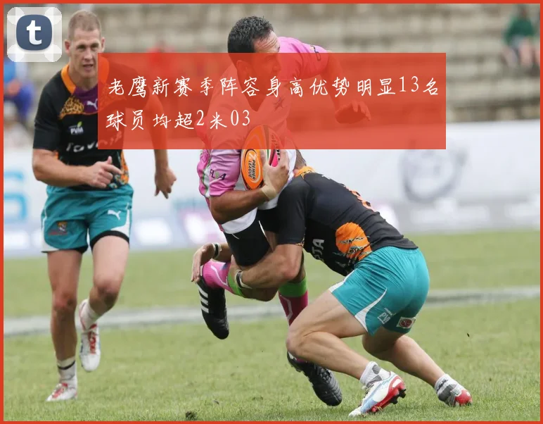 老鹰新赛季阵容身高优势明显13名球员均超2米03
