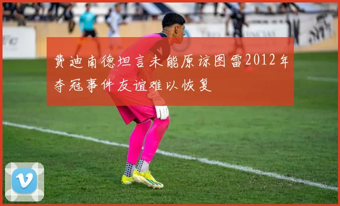 费迪南德坦言未能原谅图雷2012年夺冠事件友谊难以恢复