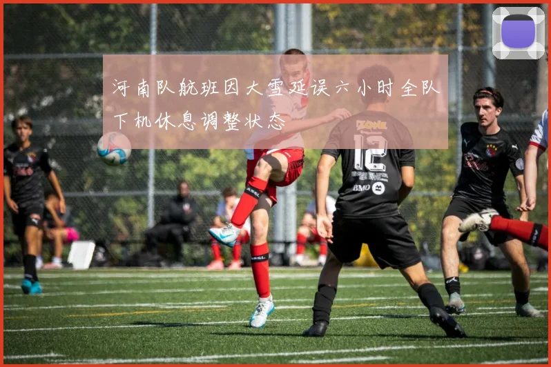 河南队航班因大雪延误六小时全队下机休息调整状态