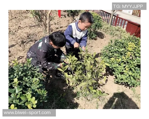 威尔逊谈富勒姆遭遇不公判罚希望未来能有所改善